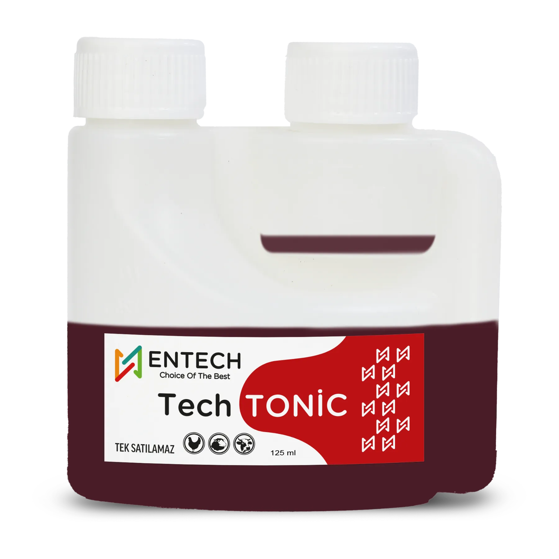 Tech Tonic görsel 4