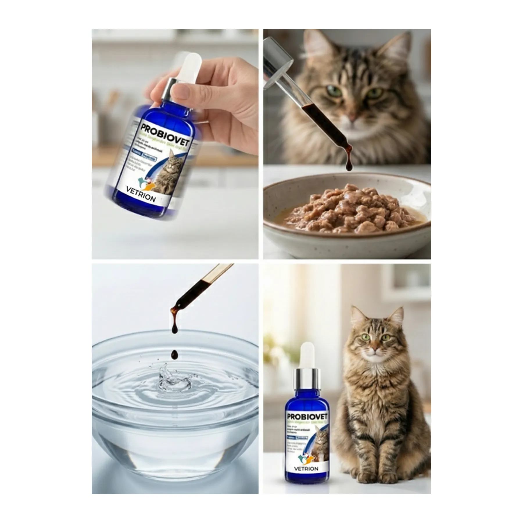 ProbioVET - CAT görsel 2
